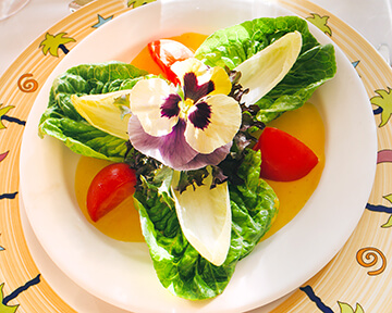 Hawaiian greens salad
